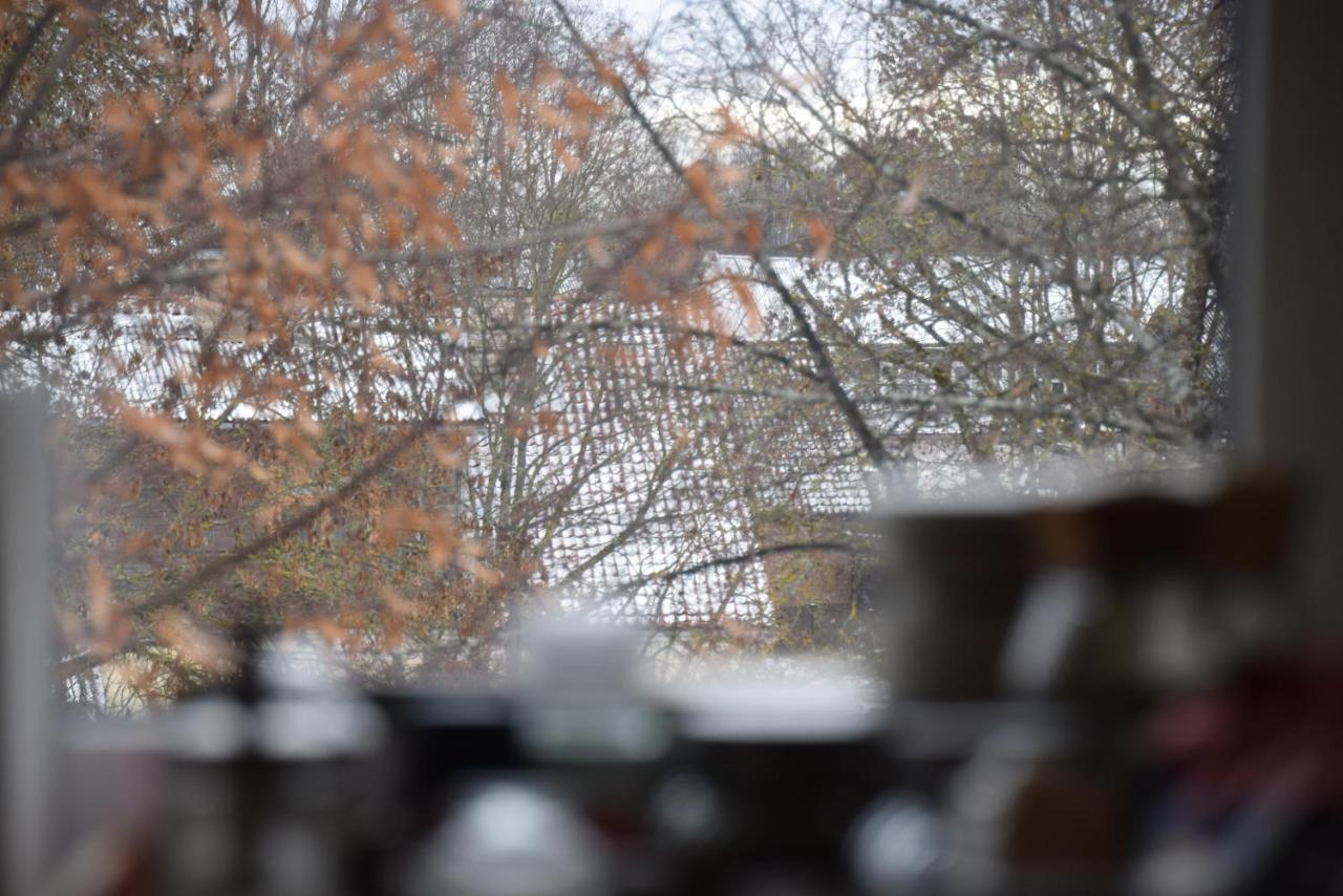 Parka apartamenti Kuldiga Bagian luar foto